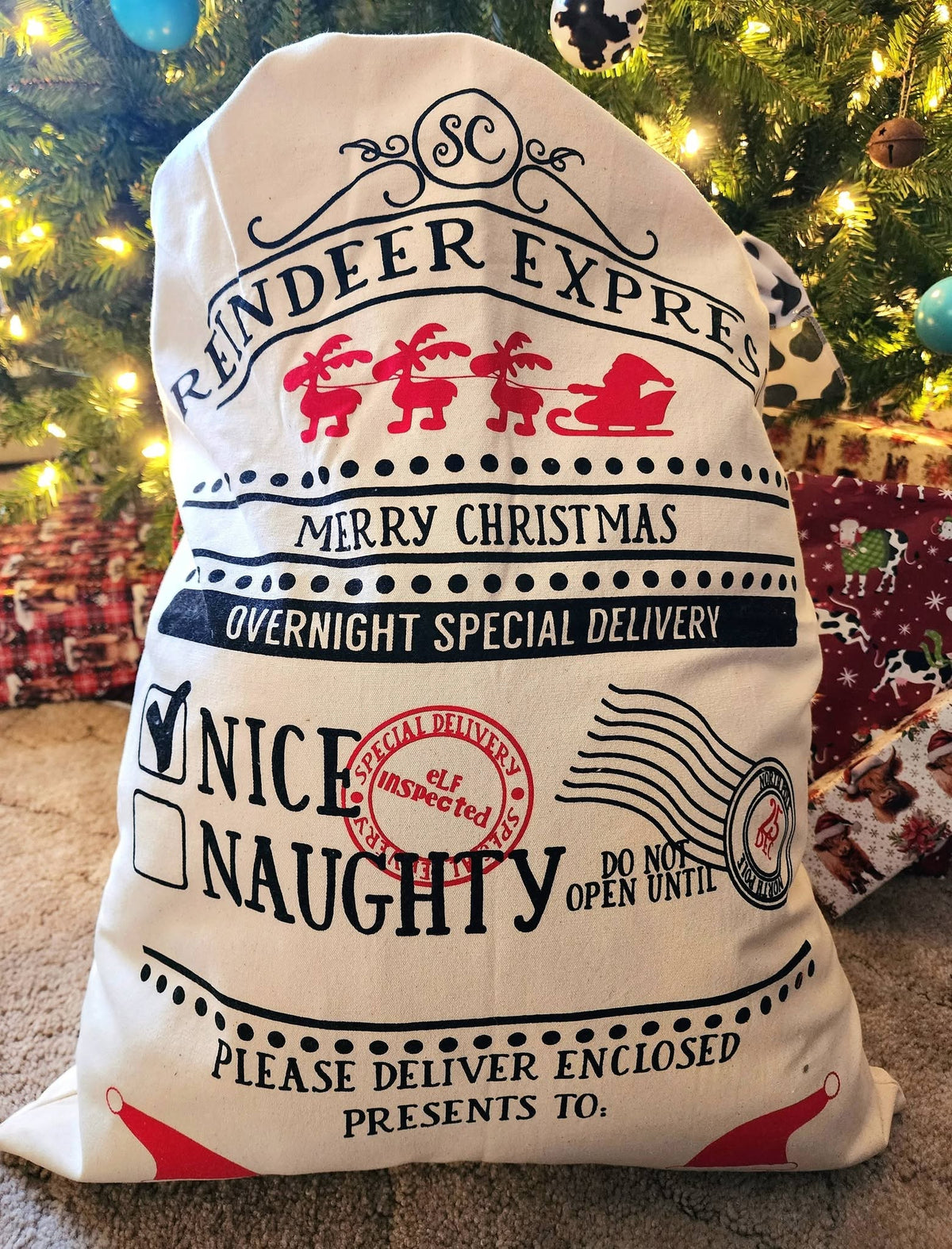 Reindeer Express Customizable Santa Sack